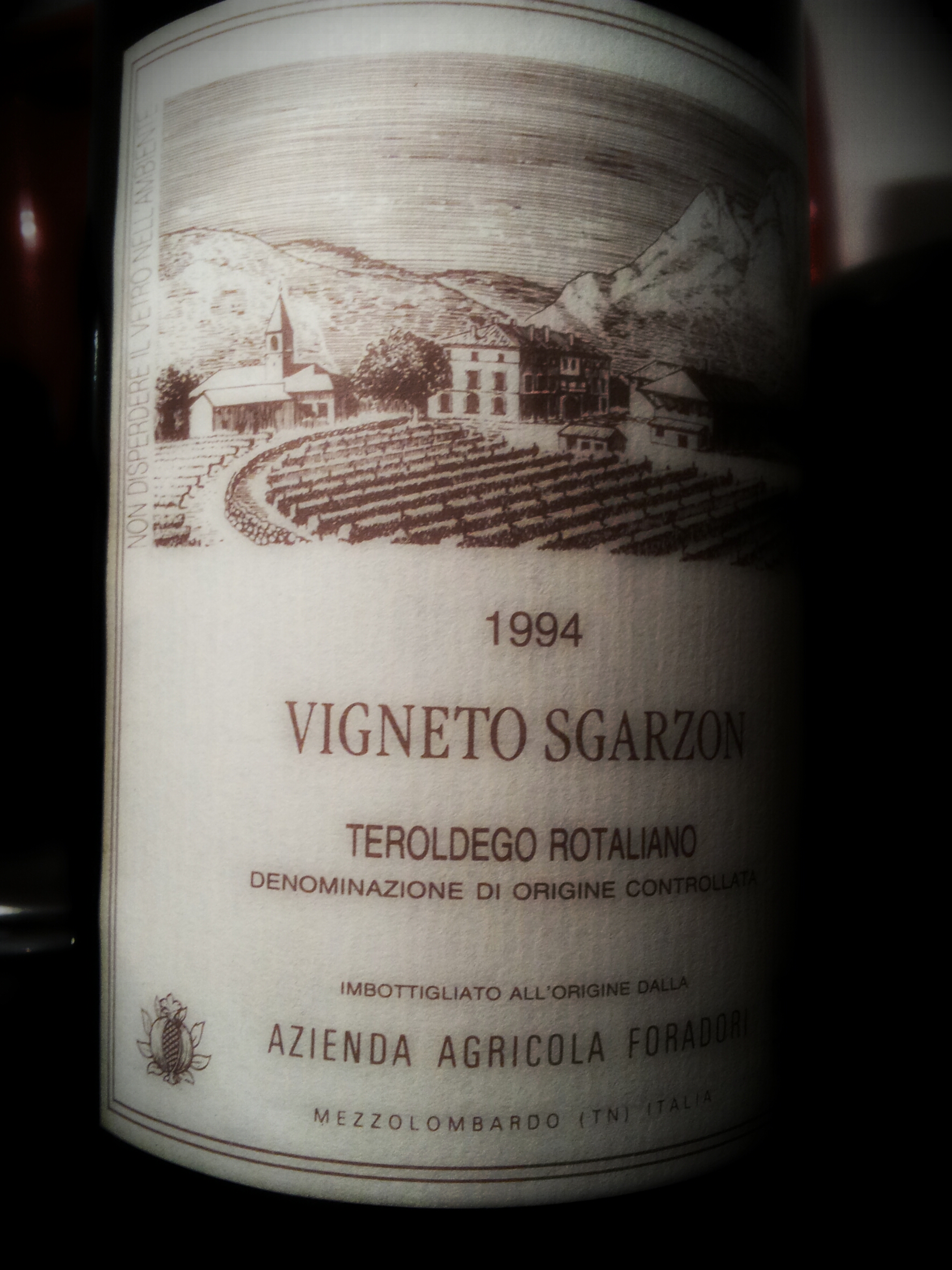 sgarzon 1994 pixlr