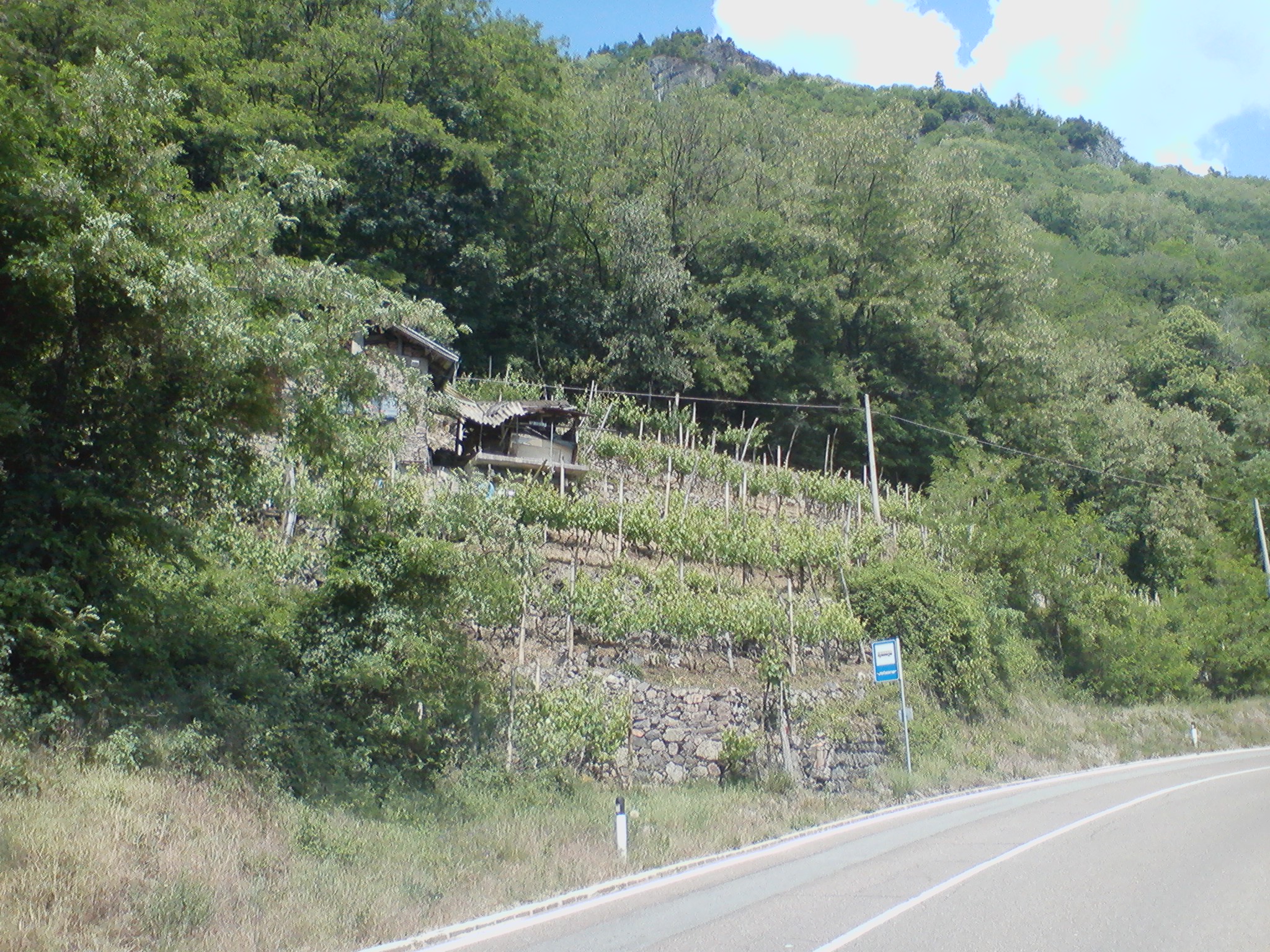 Pelz - Le vigne del Balasi.