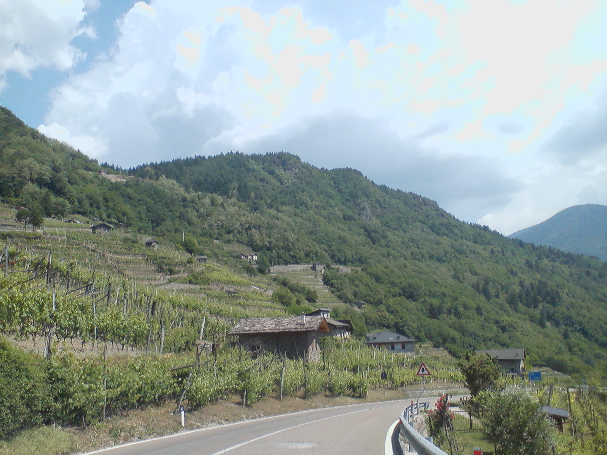 Pelz - Le vigne del Balasi.