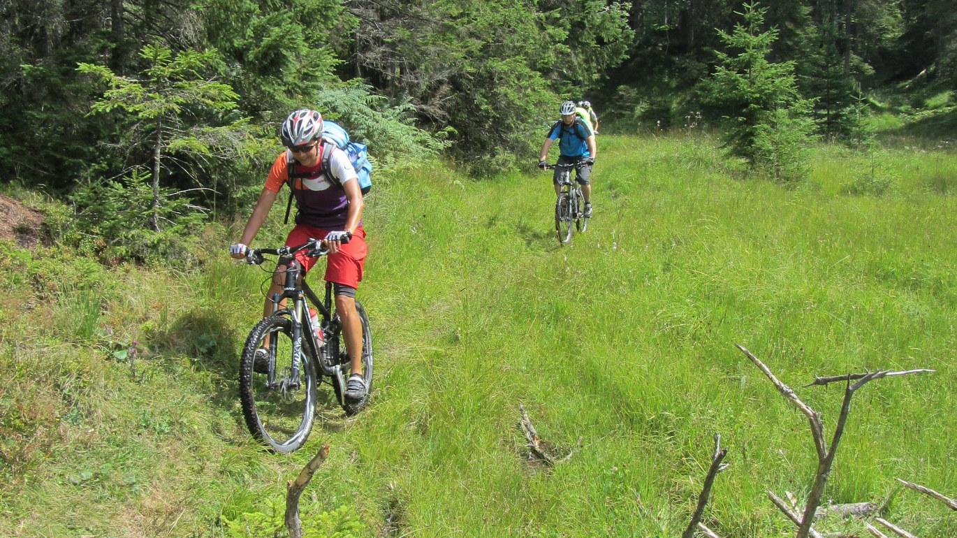 1. Etappe: Zwischen Walchensee und Isar überquert man am Altlacher Hochkopf auch ein Hochmoor, wo der Untergrund zuweilen etwas feucht ist