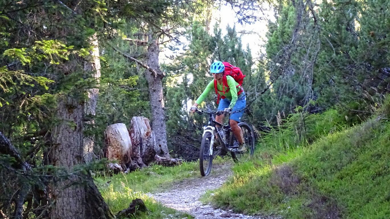 Ein Zaubertrail wie aus dem Hobbitland: der 1er nach Gossensass